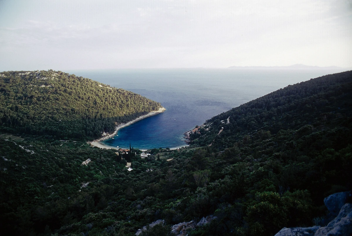 Turquoise cove between green pine hills on the Korcula coast at Pupnatska Luka in Croatia