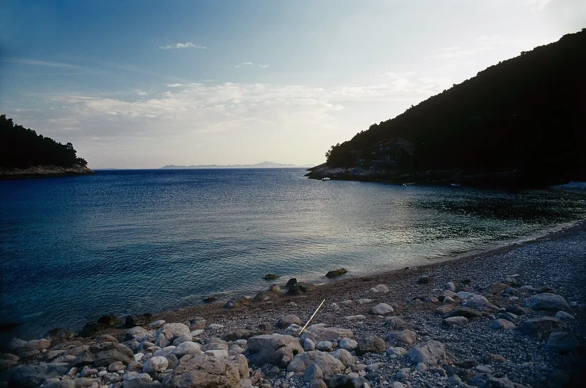 Turquoise cove between pine hills on the Korcula coast seen from above in Croatia
